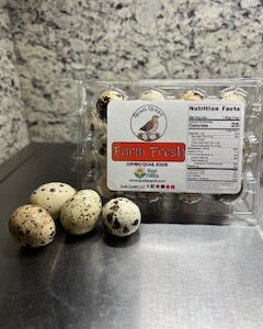 JUMBO Quail Eggs, Unwashed